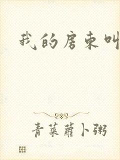 我的房东叫别扭封面