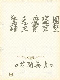 惊天魔盗团2国语免费完整版