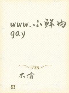 www.小鲜肉gay