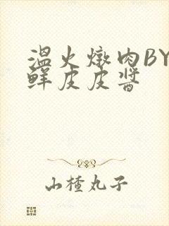 温火炖肉BY海鲜皮皮酱