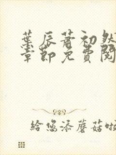 叶辰萧初然全集章节免费阅读无弹窗小说