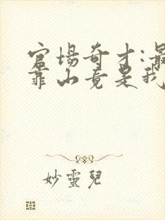 官场奇才:最强靠山竟是我自己李澜小说最