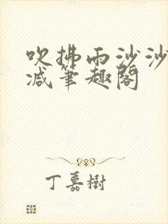 吹拂雨沙沙无删减笔趣阁