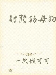 财阀的母狗们