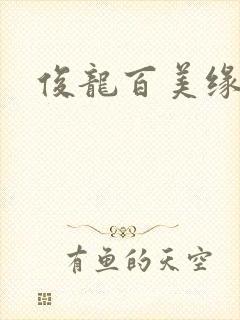 俊龙百美缘小说封面