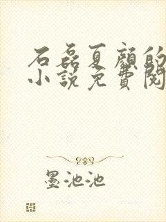 石磊夏颜的穿越小说免费阅读