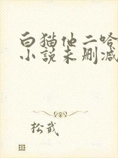白猫他二哈师尊小说未删减封面