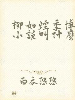 柳如烟季博达的小说叫什么封面