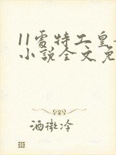 11处特工皇妃小说全文免费阅读笔趣阁封面