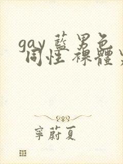 gay 蓝男色 同性 裸体男模封面