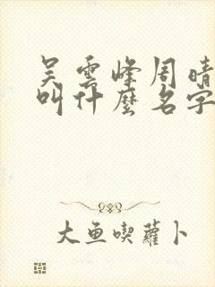 吴云峰周晴小说叫什么名字啊