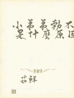 小弟弟勃不起来 是什么原因