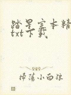 踏星完本精校版txt下载