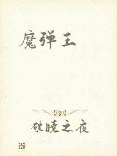 魔弹王