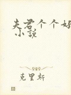 夫君个个好妖孽 小说