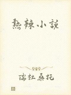热辣小说