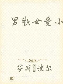 男欢女爱小说