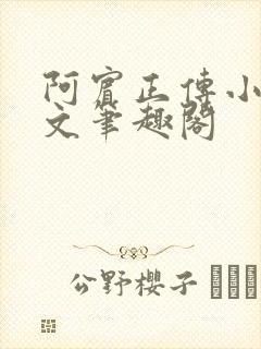 阿宾正传小说全文笔趣阁