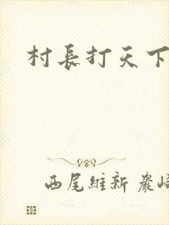 村长打天下封面