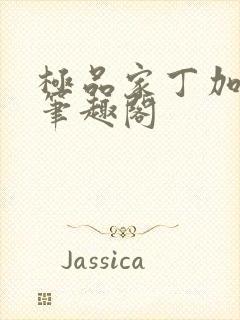 极品家丁加料版笔趣阁