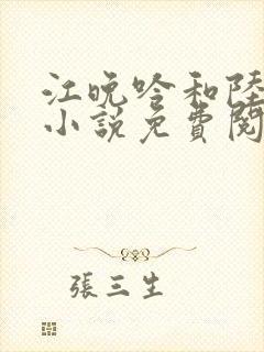 江晚吟和陆缙的小说免费阅读封面