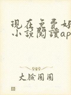 现在免费好用的小说阅读app封面