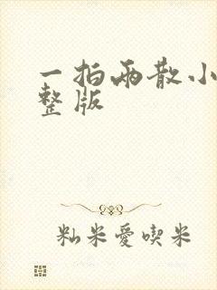 一拍两散小说完整版