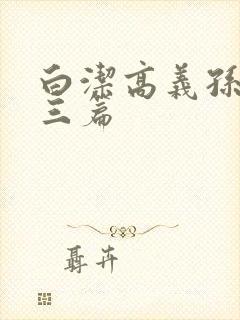 白洁高义孙倩陈三篇