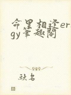 命里相逢errgy笔趣阁封面