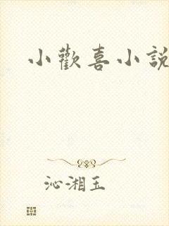 小欢喜小说