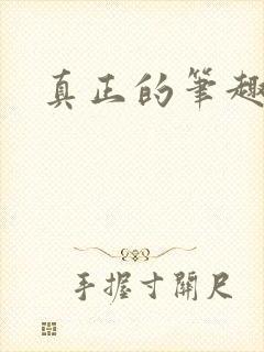 真正的笔趣阁