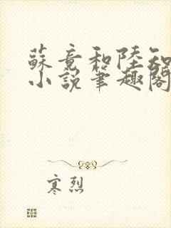 苏竟和陆知夏的小说笔趣阁封面