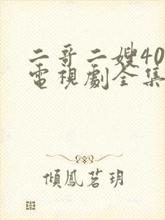 二哥二嫂40集电视剧全集高清
