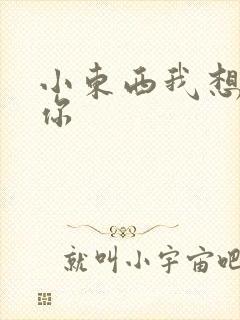 小东西我想弄坏你