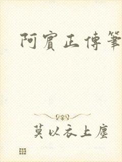 阿宾正传笔趣阁