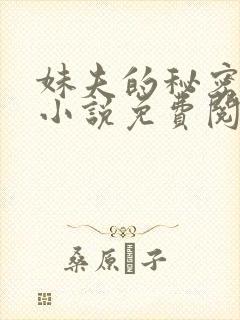 妹夫的秘密赵刚小说免费阅读