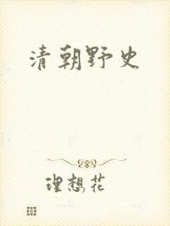 清朝野史封面