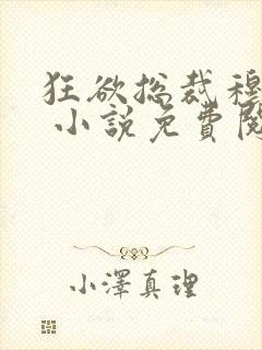 狂欲总裁穆非雪 小说免费阅读封面