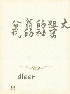 公翁的粗大放进我的秘密