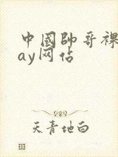 中国帅哥裸体gay网站