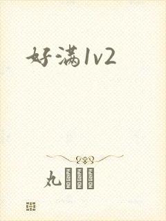 好满1v2