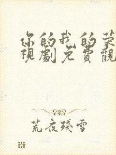 你的我的荣耀电视剧免费观看高清封面