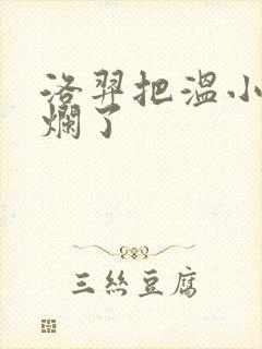 洛羿把温小辉做烂了封面