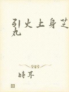 引火上身芝麻糖丸封面