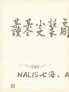 某某小说免费阅读全文未删减封面