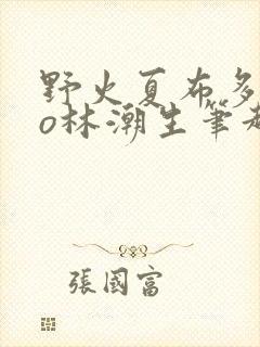 野火夏布多昂po林潮生笔趣阁