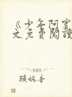 《少年阿宾》全文免费阅读