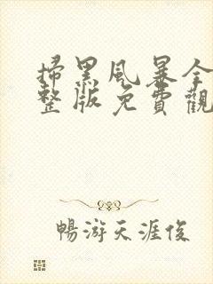 扫黑风暴全集完整版免费观看