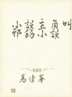 小说主角叫柳无邪的小说