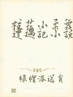 校花小柔舞蹈室遭遇记小说